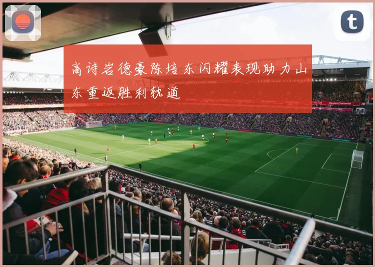 高诗岩德豪陈培东闪耀表现助力山东重返胜利轨道