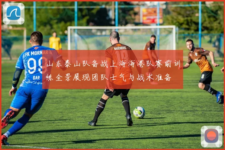 山东泰山队备战上海海港队赛前训练全景展现团队士气与战术准备